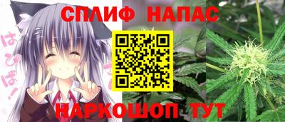 МДПВ Будённовск