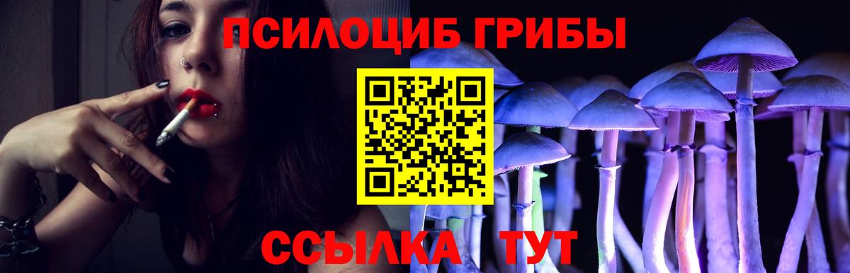 Псилоцибиновые грибы Magic Shrooms  Псилоцибиновые грибы Psilocybe  Валуйки  где найти наркотики  Вход с VPN 